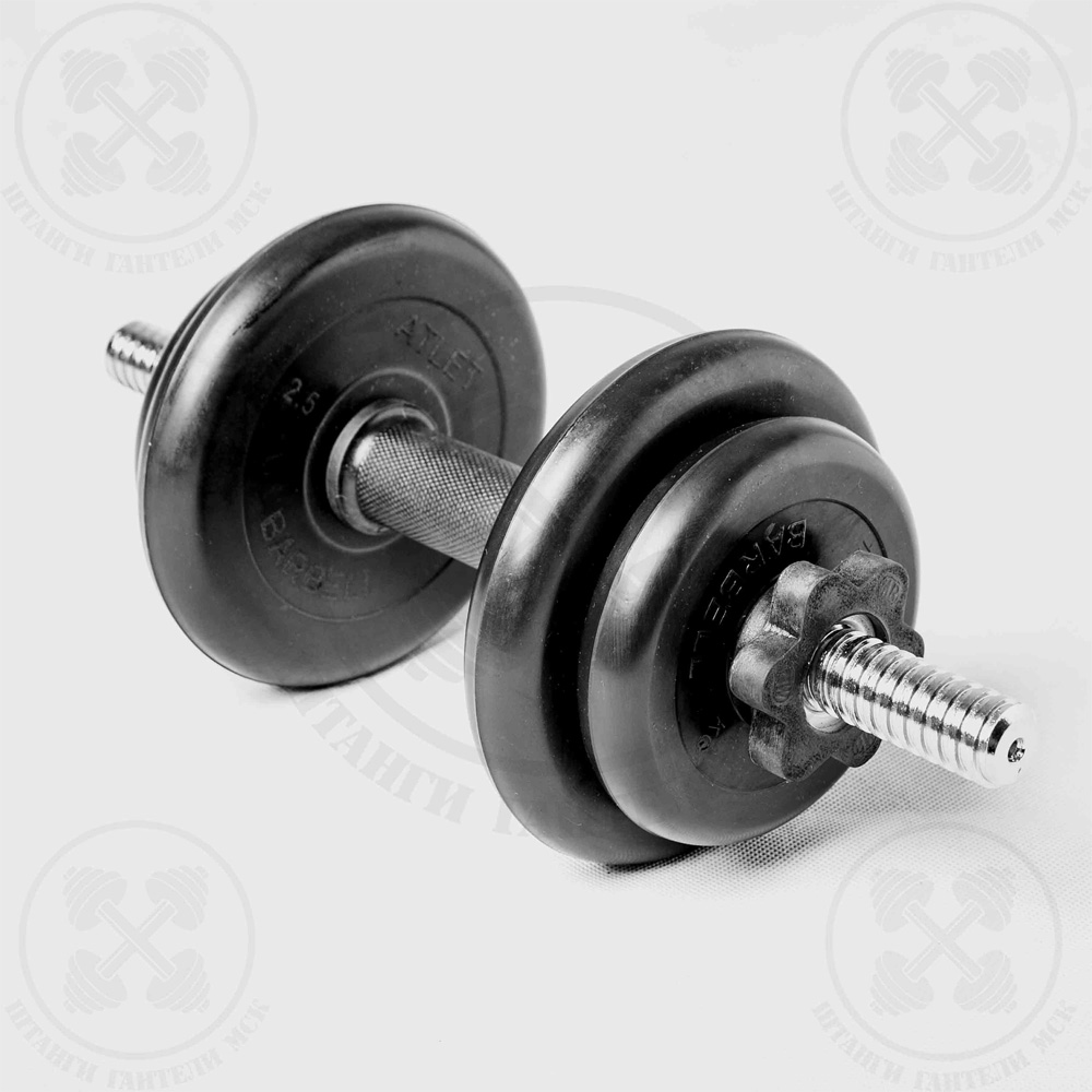 Гантели разборные Barbell 10 кг. D26мм