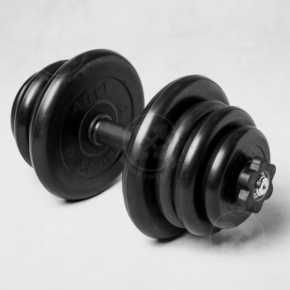 Гантели разборные Barbell 25 кг. D26мм